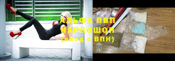 стаф Баксан