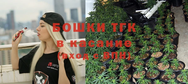стаф Баксан