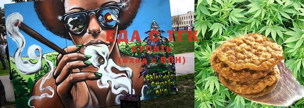 PSILOCYBIN Балабаново