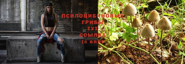 дживик Армянск