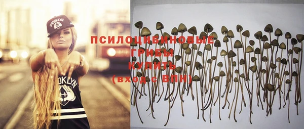 PSILOCYBIN Балабаново
