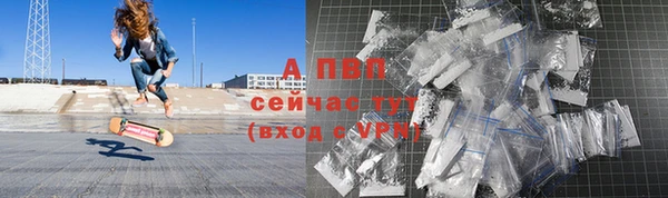 стаф Баксан